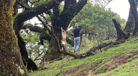 Fanal recebe sess&atilde;o fotogr&aacute;fica naturalista