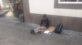 ANIMAD den&uacute;ncia neg&oacute;cio de sem abrigo com c&atilde;o beb&eacute;