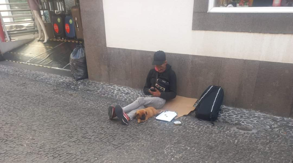 ANIMAD denúncia negócio de sem abrigo com cão bebé