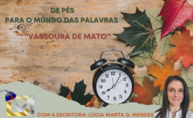 De p&eacute;s para o mundo das palavras - Vassoura de mato