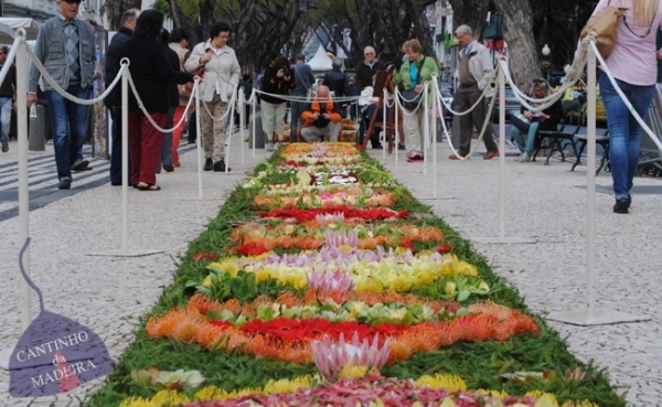 Festa da Flor