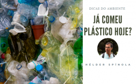 Dicas do Ambiente: Micropl&aacute;sticos