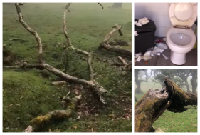 Imagens mostram lixo a c&eacute;u aberto e ramos partidos, no Fanal