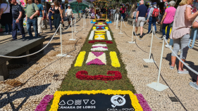 Tapetes de flores d&atilde;o cor ao Funchal