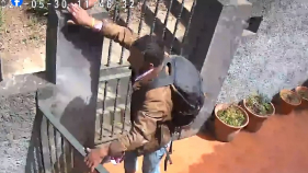 Moradores das Eiras "apanham" ladr&atilde;o de flores. Veja o v&iacute;deo.