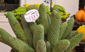 Como se chama este fruto?