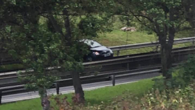 Condutor perde controlo da viatura na via r&aacute;pida