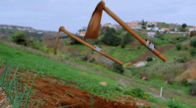 Festa dos Compadres promovida com v&iacute;deo e "Intelig&ecirc;ncia Artificial"