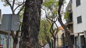 Idosa morre ap&oacute;s queda do terceiro andar