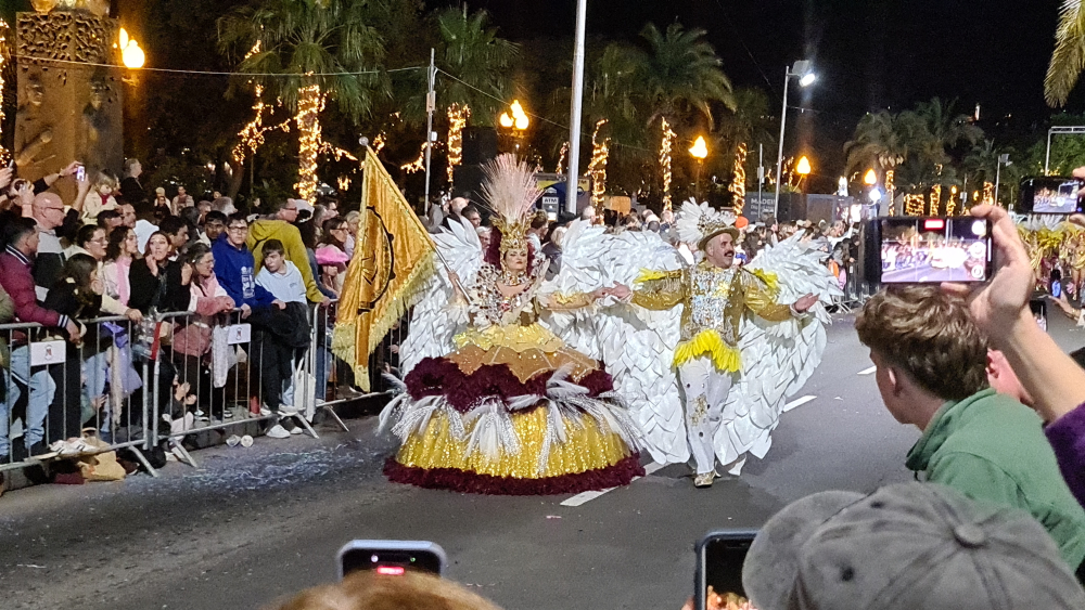 Cortejo de Carnaval traz folia ao Funchal (com vídeo)
