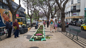 Associa&ccedil;&atilde;o Ref&uacute;gio da Freira prepara tapetes de flores (com v&iacute;deo)