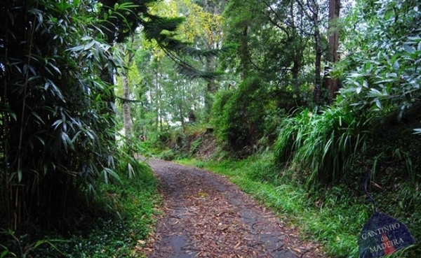 Furnas do Cavalum