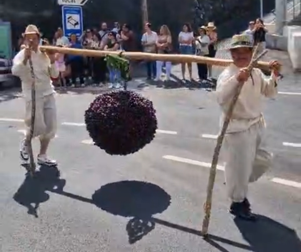 Festa da Cereja: Folclore e tradição deram vida às ruas do Jardim da Serra (com vídeo)