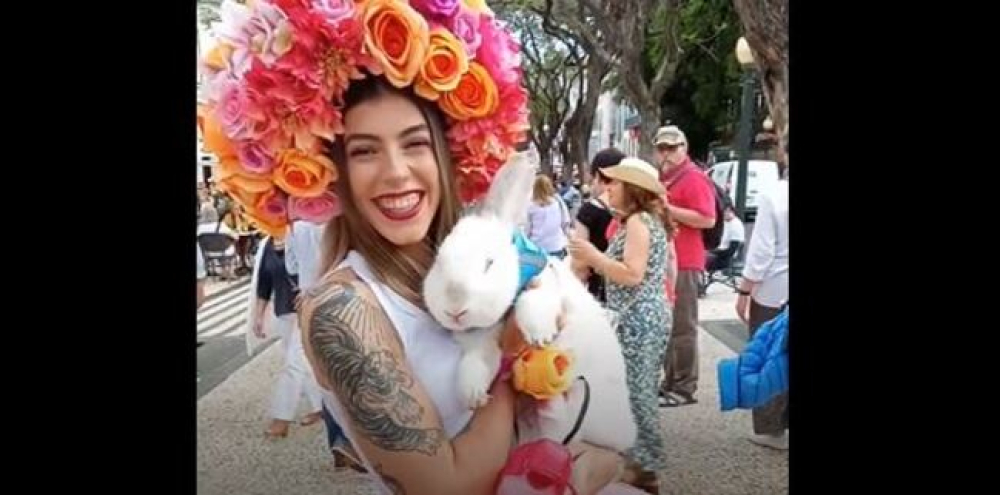 Coelho gigante faz furor na Festa da Flor. Espreite o vídeo.