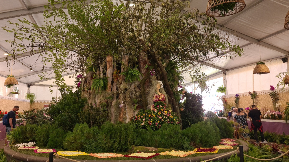 Centenas de flores em exposição (com vídeo)