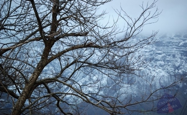 Neve cobre Curral