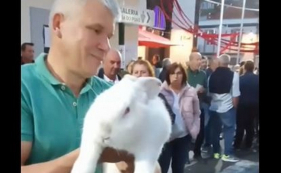 Homem levou coelho gigante &agrave; Festa da Cebola. Espreite o v&iacute;deo.