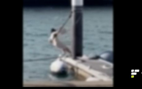 Mulher alterada na Marina do Funchal (com v&iacute;deo)