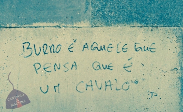 O cavalo e o burro