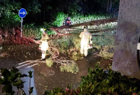 Depress&atilde;o Therese provoca 67 ocorr&ecirc;ncias