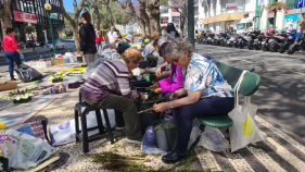 Tapetes de flores "bordados" pelas m&atilde;os das nossas gentes (com v&iacute;deo)