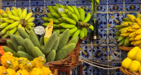 Fruto Delicioso a pre&ccedil;o de ouro