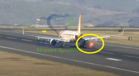 Ave colide com avi&atilde;o e provocou chamas num motor (v&iacute;deo)