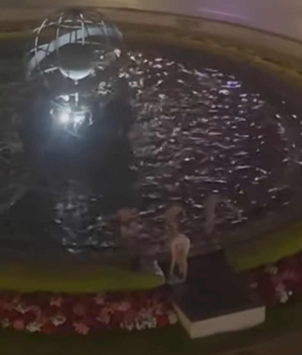 Turistas vão a banhos na Rotunda do Infante (com vídeo)