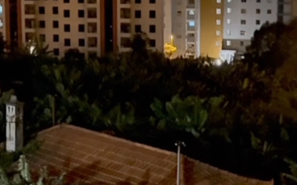 "Gritos desesperados de animais a serem abatidos" no Funchal (com vídeo)