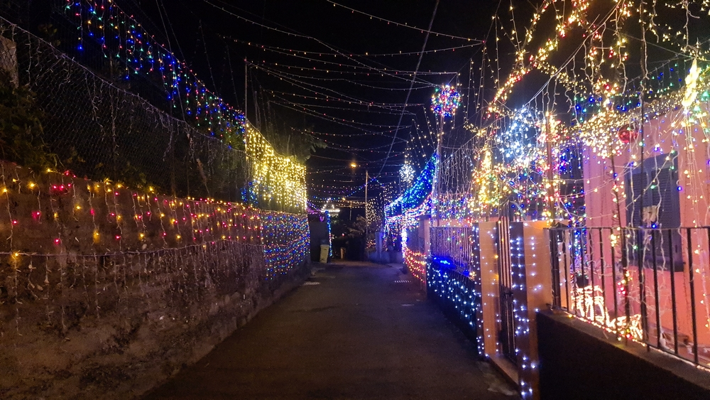 "Casa Natal" com 240 mil lâmpadas (com vídeo)