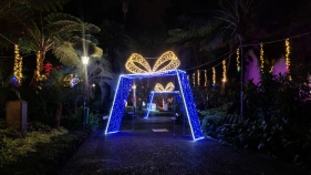 Luzes da Festa no Jardim Municipal do Funchal (com v&iacute;deo)