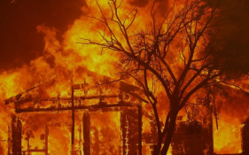 Devasta&ccedil;&atilde;o na Calif&oacute;rnia: imagens em direto