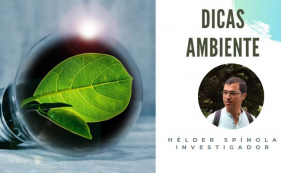 Dicas do Ambiente - Poupar energia