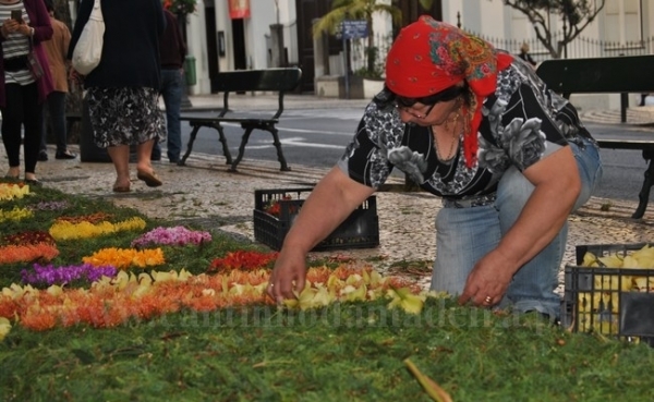 Constru&ccedil;&atilde;o Tapetes de Flores (com v&iacute;deo)
