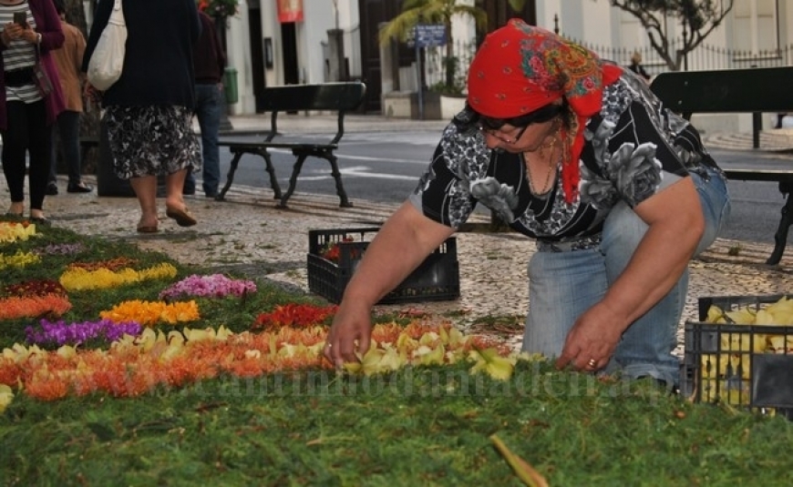 Construção Tapetes de Flores (com vídeo)