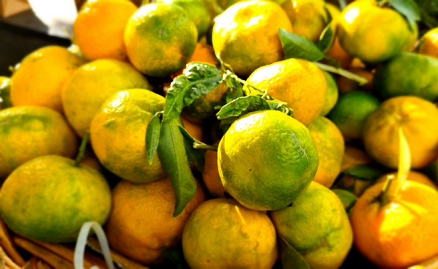 Tangerinas da Festa