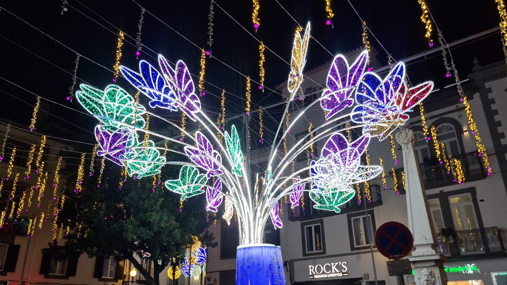 Luzes de Natal já brilham no Funchal (vídeo)