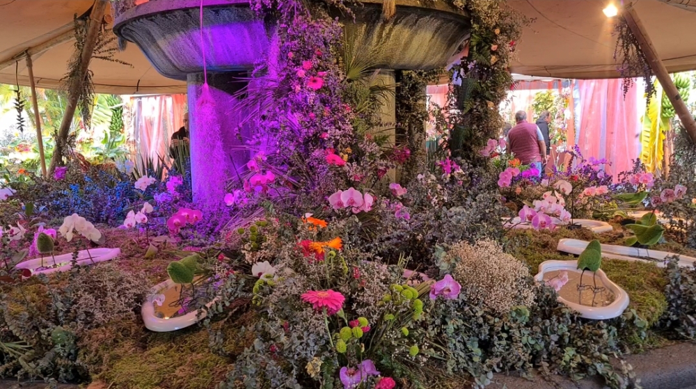 Exposição da Flor: 71 anos de história (com vídeo)