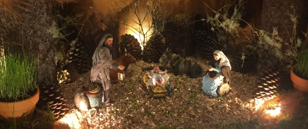 Boas Festas na RCM