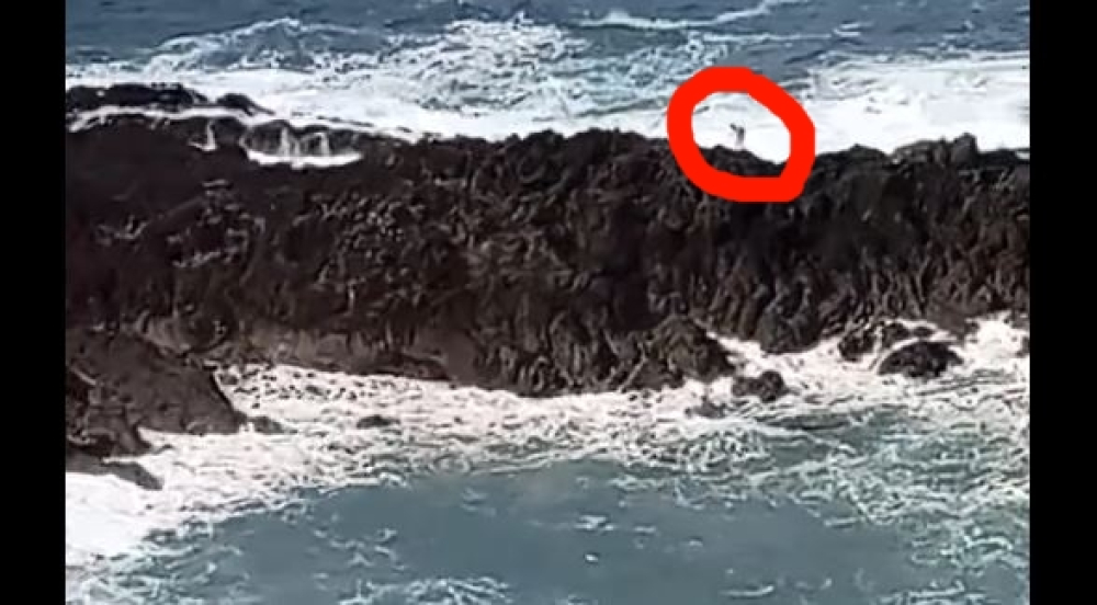 Homem arrisca mar bravio no Seixal (com vídeo)