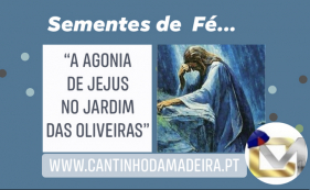 Sementes de F&eacute; - 3 de mar&ccedil;o