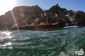 Alem&atilde; resgatada na Ponta de S&atilde;o Louren&ccedil;o