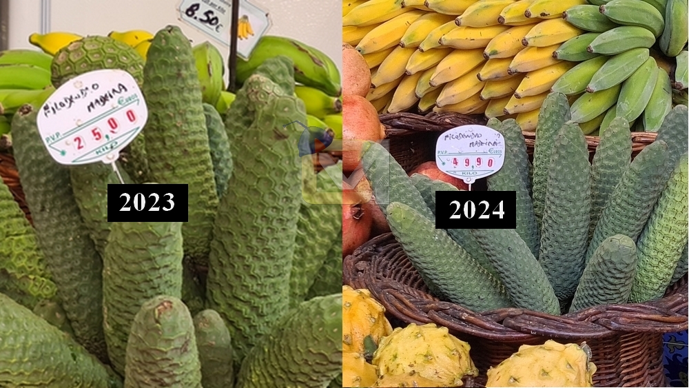Passatempo: Descubra as diferenças.