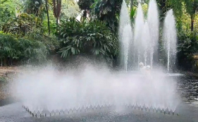 Viagem pelo Jardim Municipal do Funchal. Veja o v&iacute;deo.