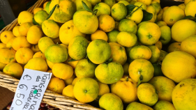 "Tangerinas da Festa" est&atilde;o &agrave; venda no Funchal