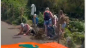 V&iacute;deo mostra turistas a ultrapassar barreiras de prote&ccedil;&atilde;o no Fanal (com v&iacute;deo)