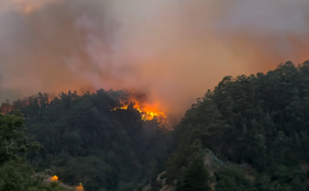 Fogo chega ao Curral de Cima (com v&iacute;deo)