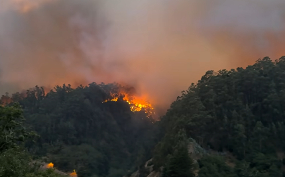 Fogo chega ao Curral de Cima (com vídeo)
