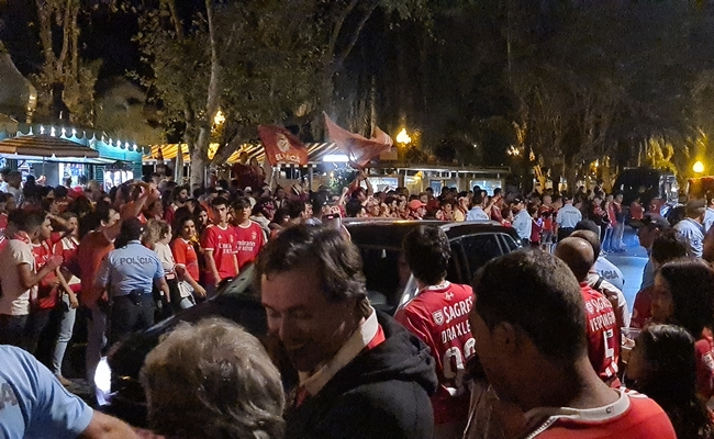 Benfica campeão com festejos na Madeira (vídeo)