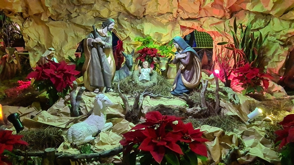 Milhares visitam Mega Presépio do Curral das Freiras. Veja o vídeo.